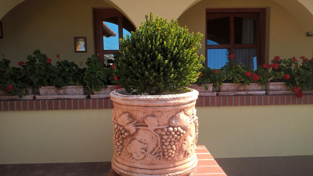 Vitis Vendeghaz Hotel Becsehely Exterior photo